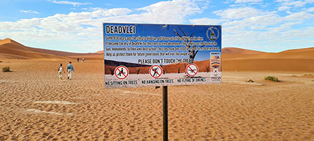 Breve passeggiata dal parcheggio 4x4 di Sossusvlei alla valle di Deadvlei