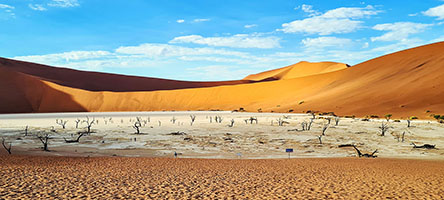 Il lago secco di argilla bianca di Deadvlei