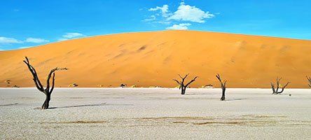 La piana argillosa di di Deadvlei