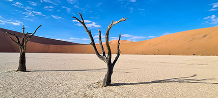 Deadvlei all'alba