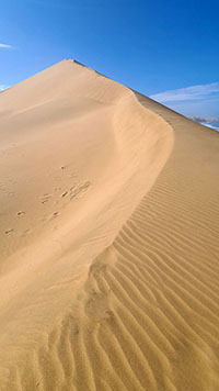Salendo la cresta di una duna del Namib