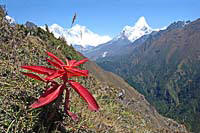 Ama_Dablam_da_Namche