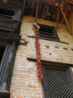 Peperoncini a Patan