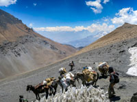 Penitentes al passo di Jungben La