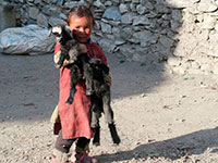 Bambina con capretto a Chharka