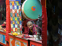 Giovane lama al gompa di Kagbeni