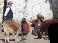 Lungo una via di Ghami