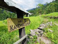 Il sentiero per il Kangchenjunga