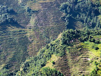 Terrazzamenti a Tembewa