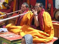 Lama suonatori di tromba