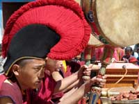 Lama musicanti al Ti-Ji - 3
