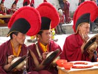 Lama musicanti al Ti-Ji - 2