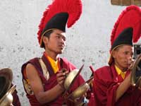 Lama musicanti al Ti-Ji - 3