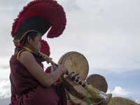 Lama musicanti al Ti-Ji - 4