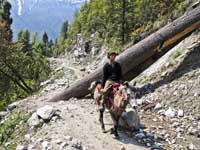 Ragazzo a cavallo verso Chame