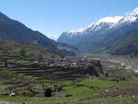 Manang