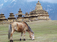Chorten nei pressi di Nar