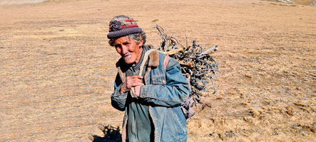 Un pastore col suo carico di legna a 5000 m