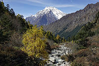 La valle di Langdang col Chamar sullo sfondo