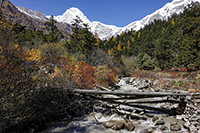 Ponticello sul torrente che scende dal Rupina La