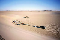 Campo nel deserto