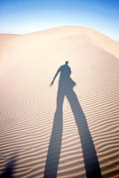 Ombra nel deserto