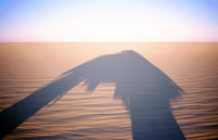 Ombra di fuoristrada nel deserto