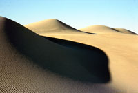Dune