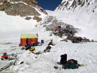 Ali Camp