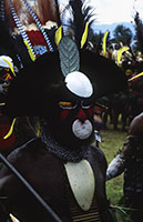 Il festival di Mount Hagen, guerriero