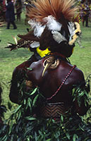 Guerrieri di spalle a Mount Hagen