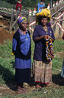 Signore papua