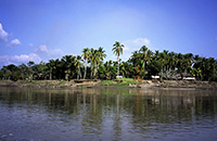 Un villaggio lungo il fiume Sepik
