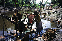 Lavaggio del sago sul Sepik