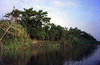 Le sponde del Sepik