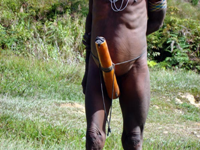 Koteka