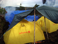 Attendamento nella foresta