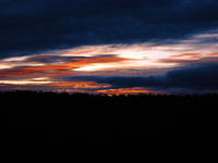 Tramonto nella giungla