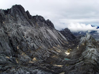 La Carstensz di taglio