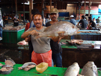 Al mercato di Timika