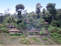 Villaggio nella foresta