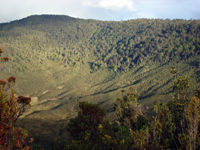 Panorama della giungla