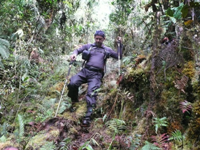 Nacho in marcia nella giungla