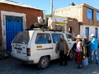 Trasporto alpaca