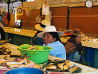 Mercato del pesce a Carhauz