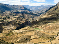 Canyon del Colca 
