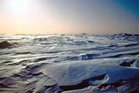 Paesaggio