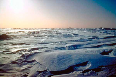 Paesaggio del pack artico