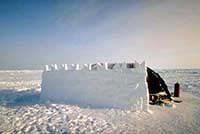 Tenda artica