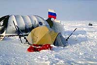 Tenda artica